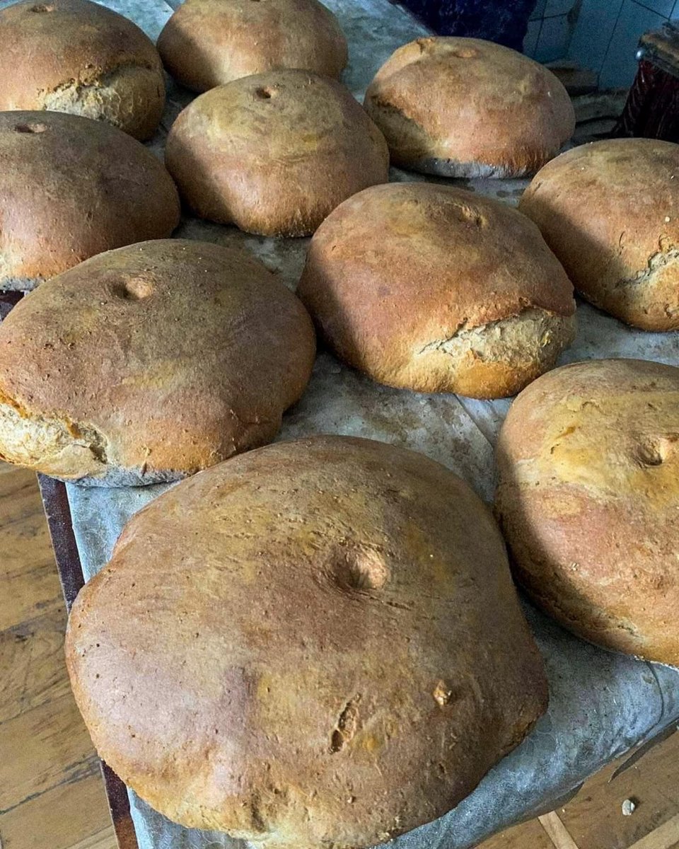 franakviacorka's tweet photo. An old lady from the Ternopil region is baking the bread for the Ukrainian soldiers defending the country. Everyone in Ukraine joined the resistance against the Russian occupation. So brave and touching. https://t.co/SumxqUgEWf