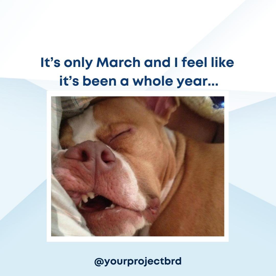 We’re about to wrap up the first quarter of 2022? How is everyone doing? Be honest! 

#yourprojectbrd #yourprojectboard #mondayblues #firstquarter #smallbusiness #virtualassistant #socialmedia