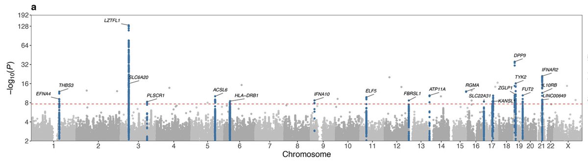EricTopol's tweet photo. π @Nature
16 new genomic loci associated with critical Covid, in 2 major categories: (1) failure to control viral replication; (2) pro-inflammatory/clotting
https://t.co/LXyVdw7Apv by @kennethbaillie and colleagues @EdinburghUni @GenomicsEngland https://t.co/rg5Fhoa9l0