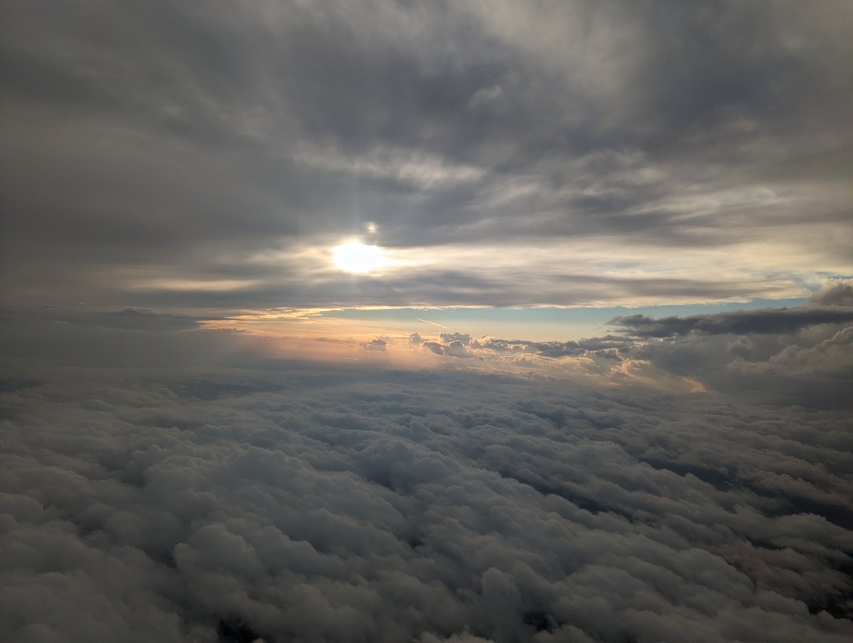 CustomED tweet media