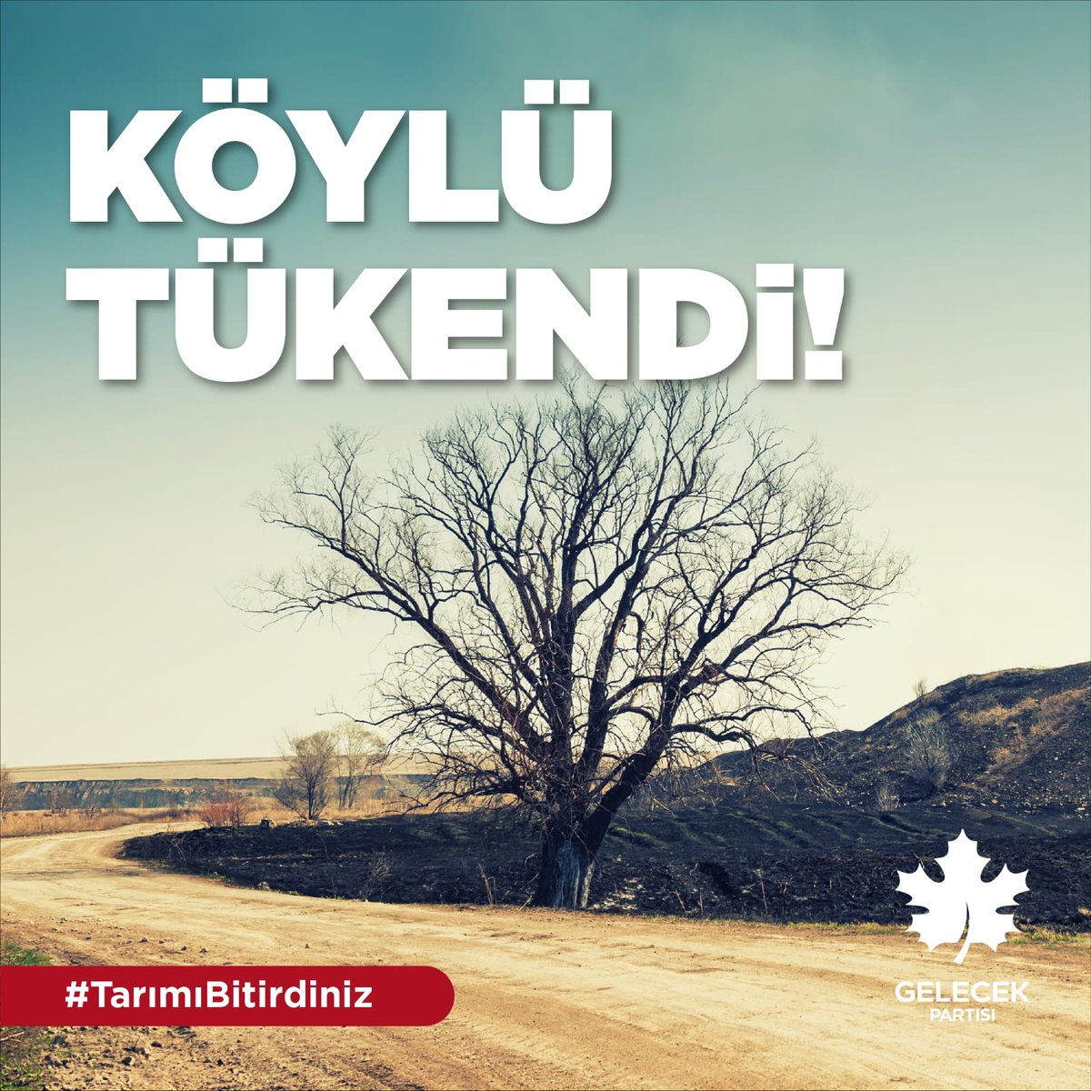 CatakGelecek's tweet photo. Sandık ta yok olacaksiniz https://t.co/D28yBClxRM