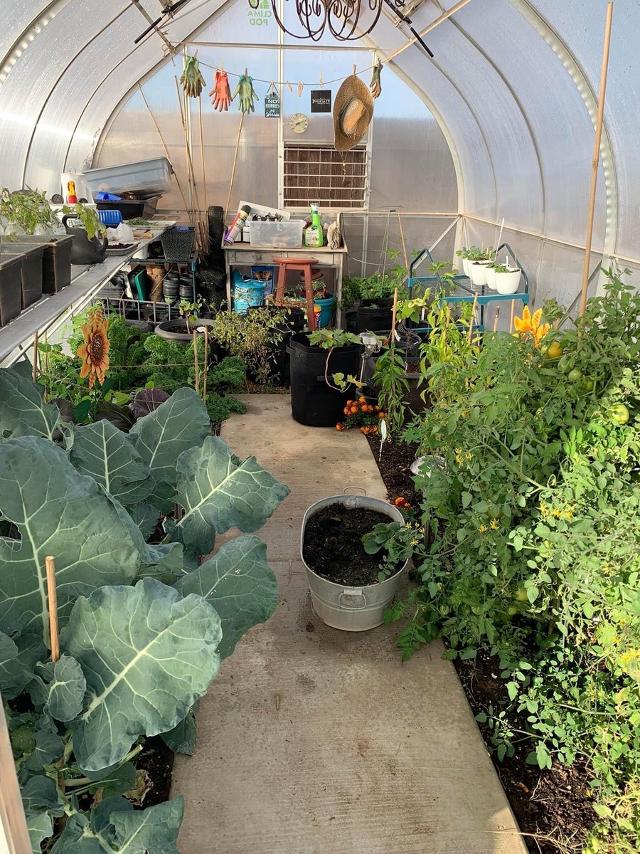 climapod's tweet photo. 9x14 Passion: ClimaPod Greenhouse Photo from Our Happy Customer
🌱 Grow your own food with ClimaPod 💚
⠀
ℹ️ ⠀
🔗 https://t.co/83PS2xJMtY ⠀
📲 (360) 674-2642 ⠀
#climapod #climashell #coldframe #greenhouse #usagardener #gardenphoto #greenhousekit https://t.co/MWsMJHj9Rn