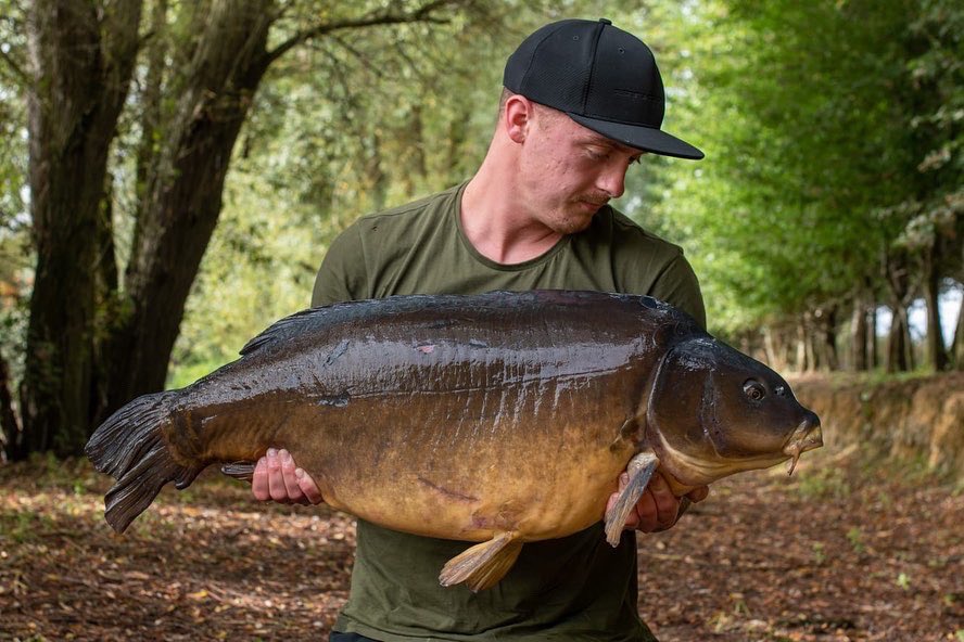 TotalCarpMag tweet media