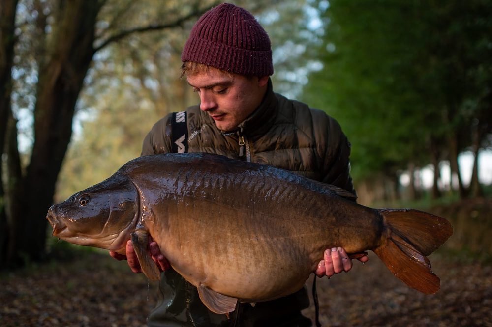 TotalCarpMag tweet media