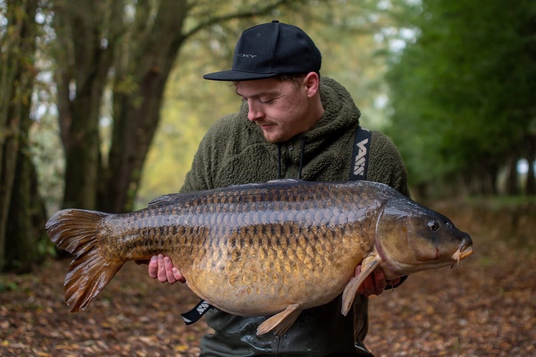 TotalCarpMag tweet media