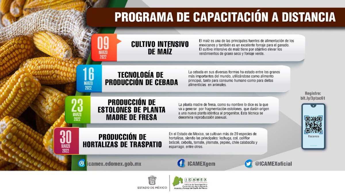 ICAMEXoficial's tweet photo. Si requieres más información, comunícate a la Dirección de Apoyo Técnico y Divulgación; 
Tel. 722 235 0946 o al correo electrónico: icamex.capacitacion@gmail.com. https://t.co/hXEJmgID66
