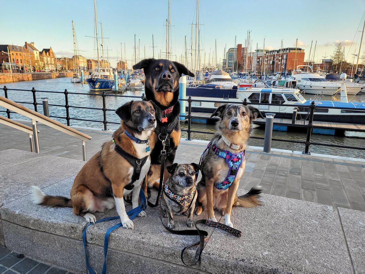 We had a lovely day out today with friends! 🐾