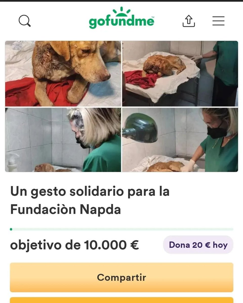 FNapda's tweet photo. Primera parte

Ayúdanos a seguir ayudando, tenemos muchas deudas, no tenemos para alimentar a la manada y el temporal en Belén se está cayendo por las filtraciones que hay ya que el techo está dañado https://t.co/ALQg01JAeW