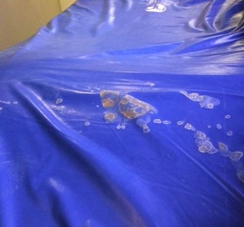 TrinityGuardion's tweet image. conta.cc/3HPpB7G