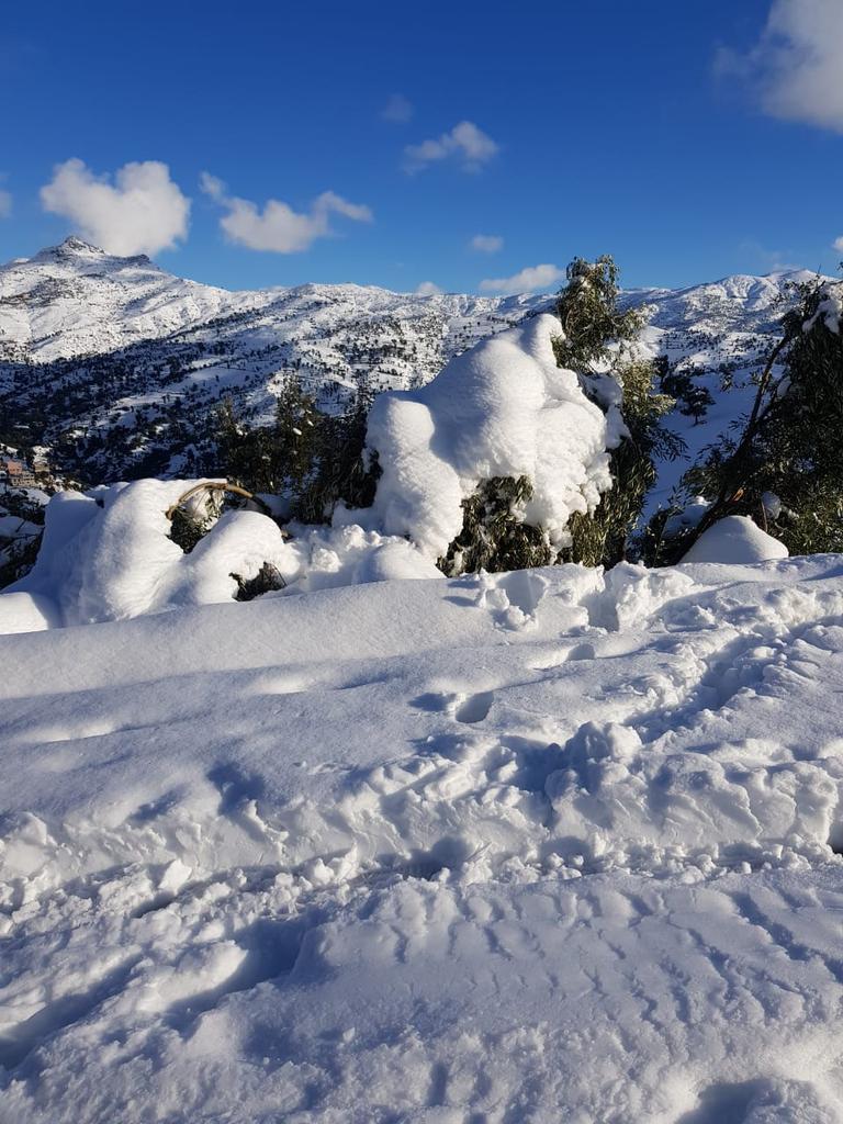 Moumin Lovable (@lovablemoumin) on Twitter photo 