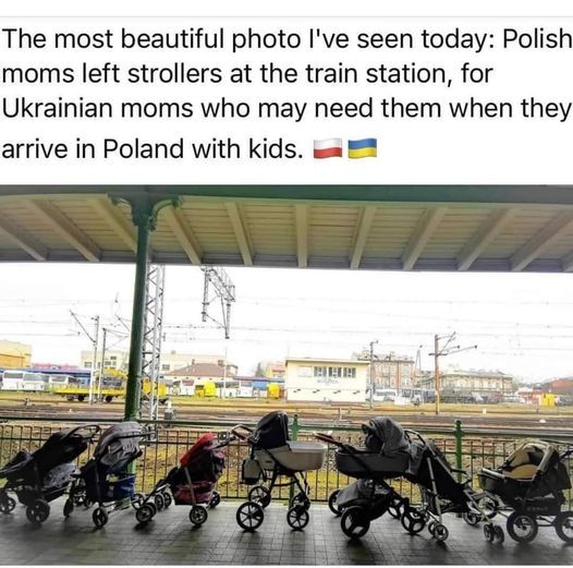 rbeestweets's tweet image. The hand that rocks the cradle...#Poland #Ukraine️