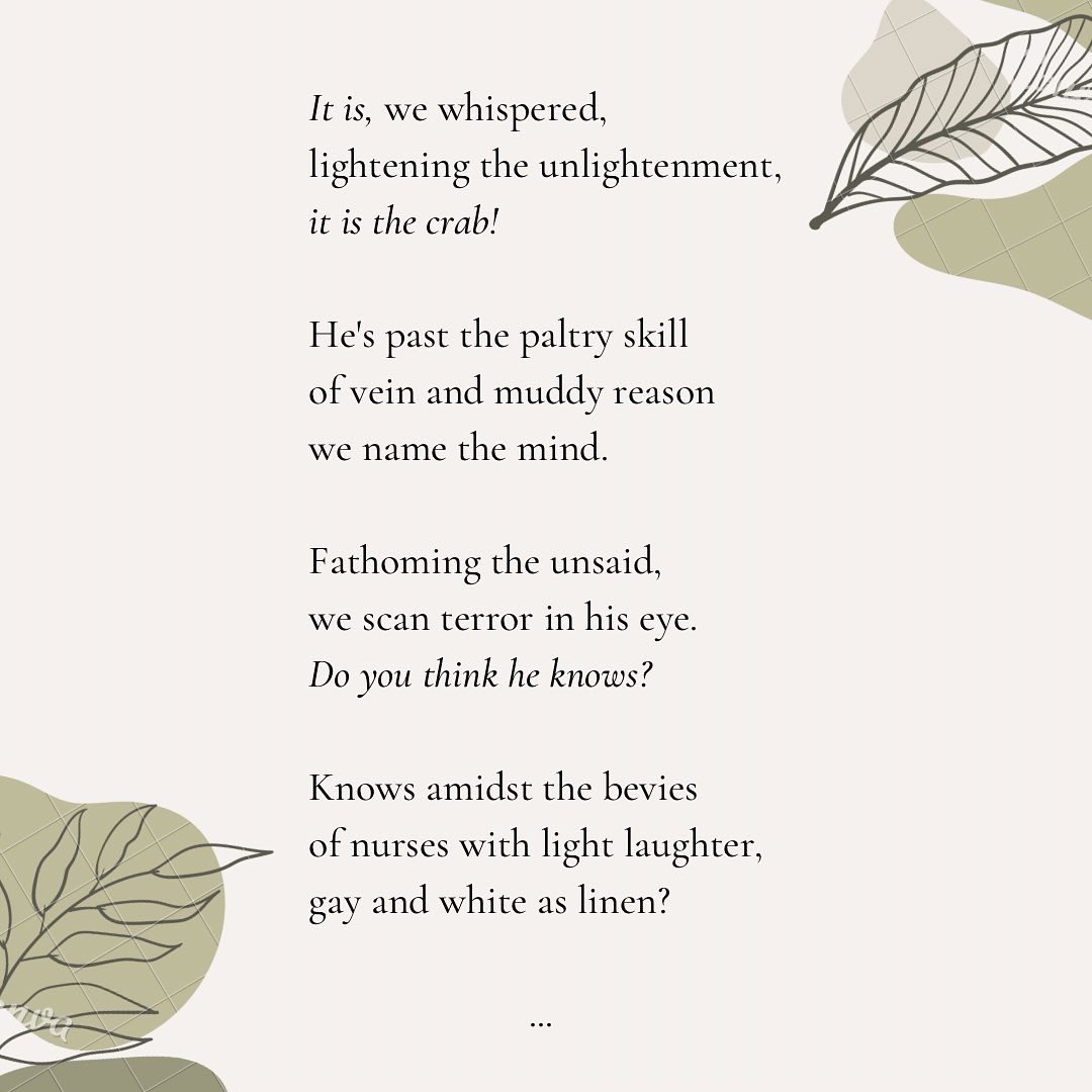 MOSiadhail's tweet photo. “The Patient”
Belonging (1982)
#poetry #life #death #humanity #longing https://t.co/JLYAWPARSb