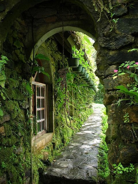 Alchemist900's tweet photo. Have a good week ☺ ♥ https://t.co/25OEjeCnZi
