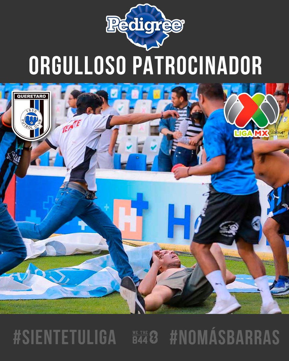 wethe844's tweet photo. 😡 #NoMásBarras #SienteTuLiga ⚽
 @ligabbvamx @club_queretaro 
¿Qué opinan de esto @pedigreeUS ?
(9/14 🧵👇) 
#Queretaro #Atlas https://t.co/jw6HVKYafd