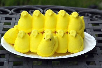 EmersonLotzia's tweet photo. how to eat peeps https://t.co/X3xBJGC2t3