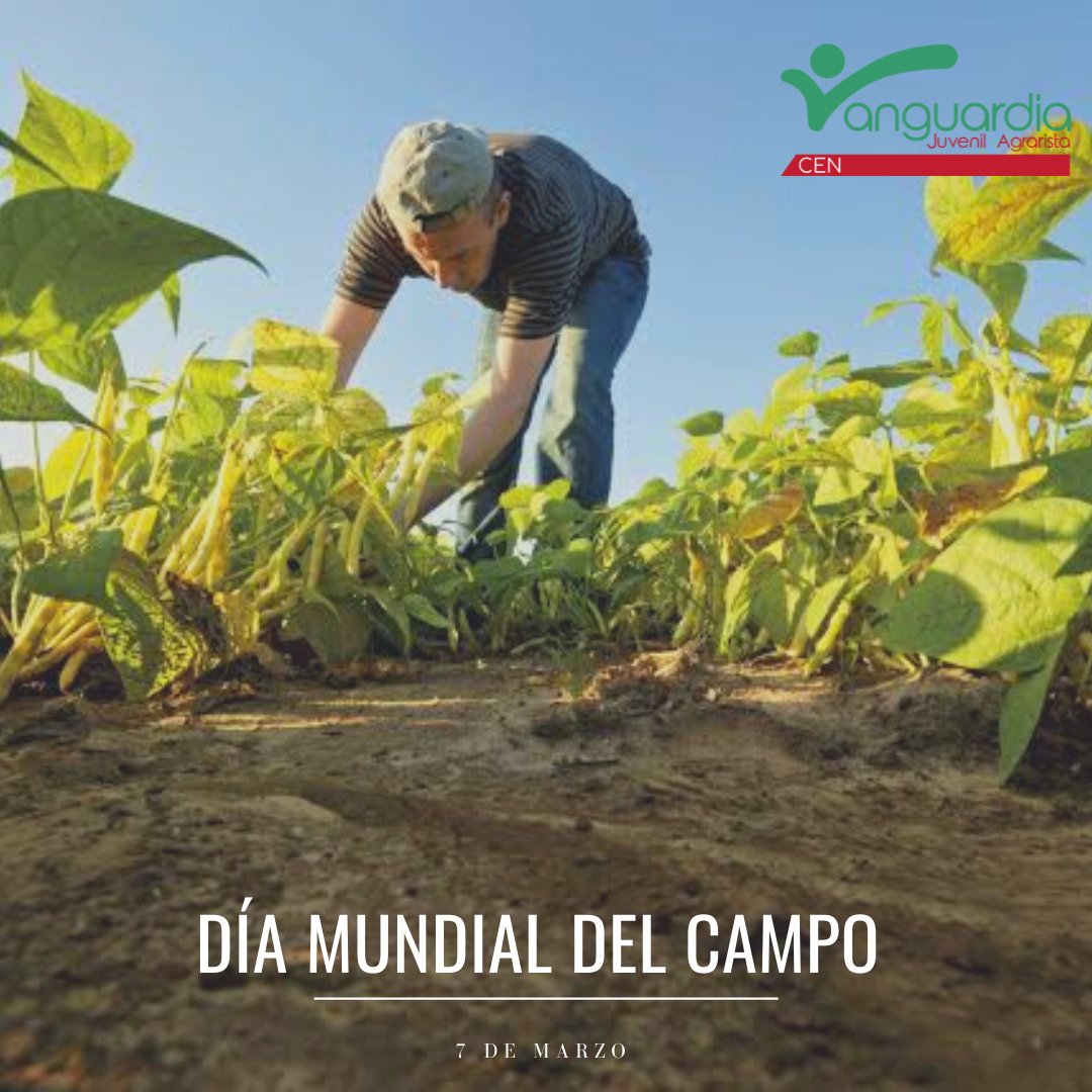 Los vanguardistas celebramos el #DíaMundialDelCampo  resaltando la importancia del medio rural para el bien social, ambiental y económico; sigamos impulsando acciones a favor de los jóvenes que trabajan técnicamente y por quienes lo heredan de generación en generación.