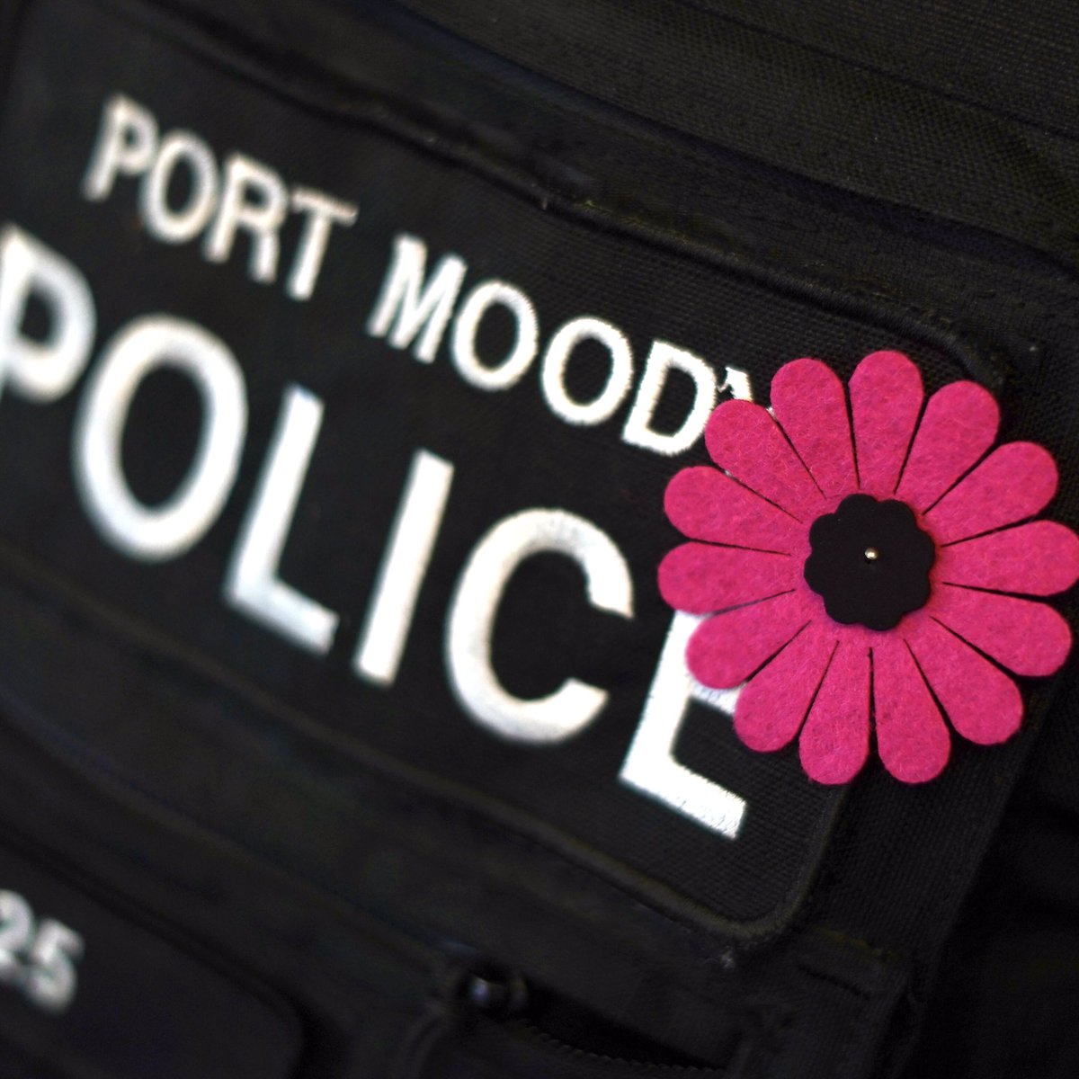 This week is “Stop the Exploitation of Children &amp; Youth Awareness Week”. We’ll be wearing fuchsia daisies to raise awareness of sexual exploitation &amp; human trafficking. 

Fuchsia daisies can be picked up at our front counter. For more info, check out @ChildrenoftheSt