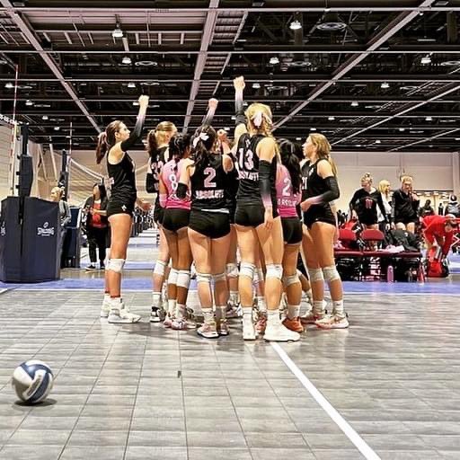 Absolute Volleyball tweet media
