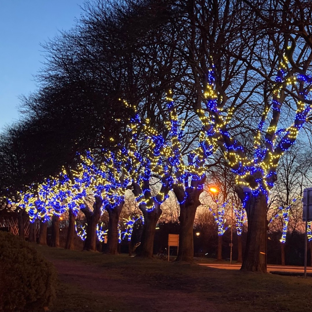 nlcpeople's tweet photo. Airdrie's 'boulevard of lights' has been lit up in yellow and blue to show solidarity with the people of Ukraine. https://t.co/s0SnZiis85