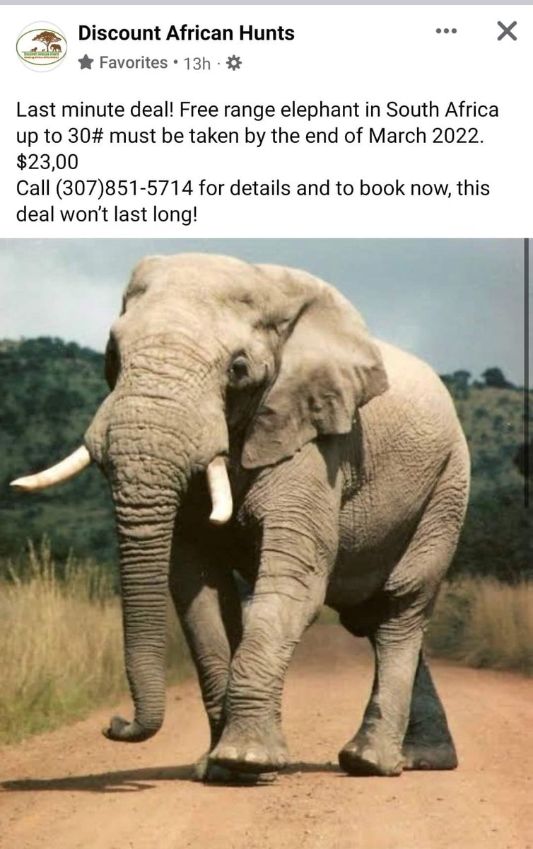 Advertised for sale like a TV. That’s the South African way of ‘sustainable utilisation’. Poor bloody elephant ~ the real walking dead. 😒