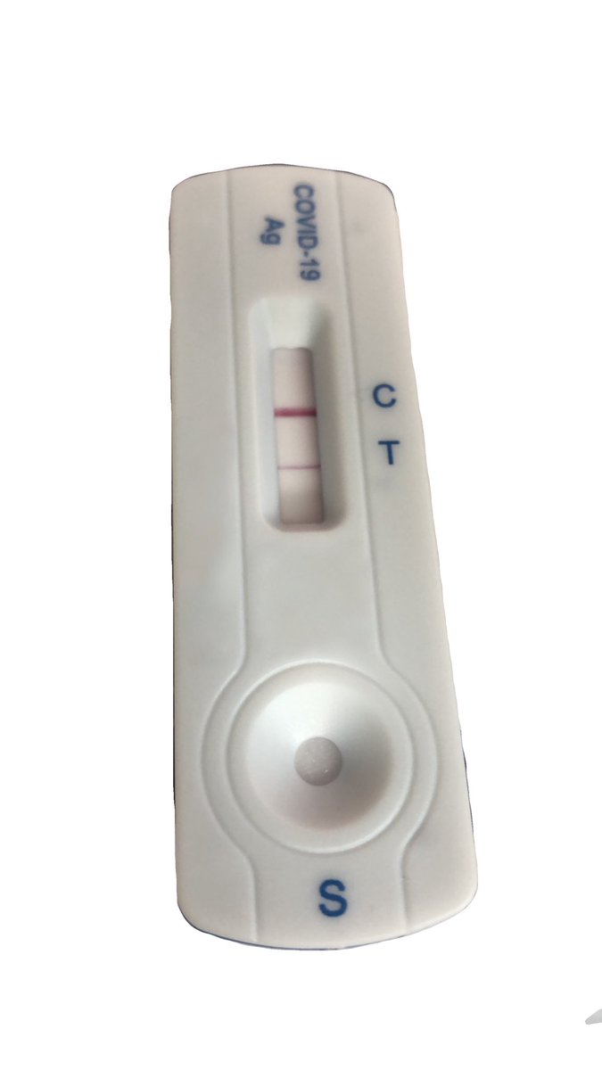 暫停更新…🥲😭