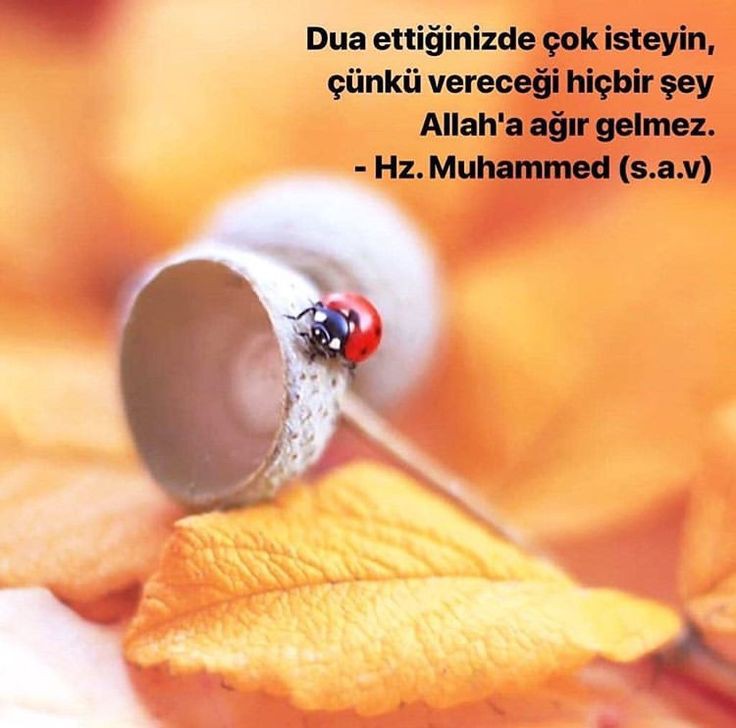 ~Dua ettiğinizde çok isteyin, 

çünkü vereceği hiçbir şey

Allah'a ağır gelmez.`

  {Hz. Muhammed (s.a.v)}
#GeceyeBirHadis