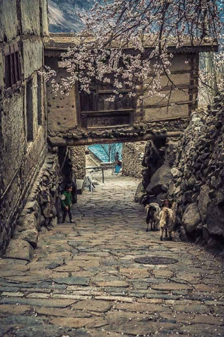 eternalhunza's tweet photo. Karimabad Hunza, spring is coming. https://t.co/jf5upcInte