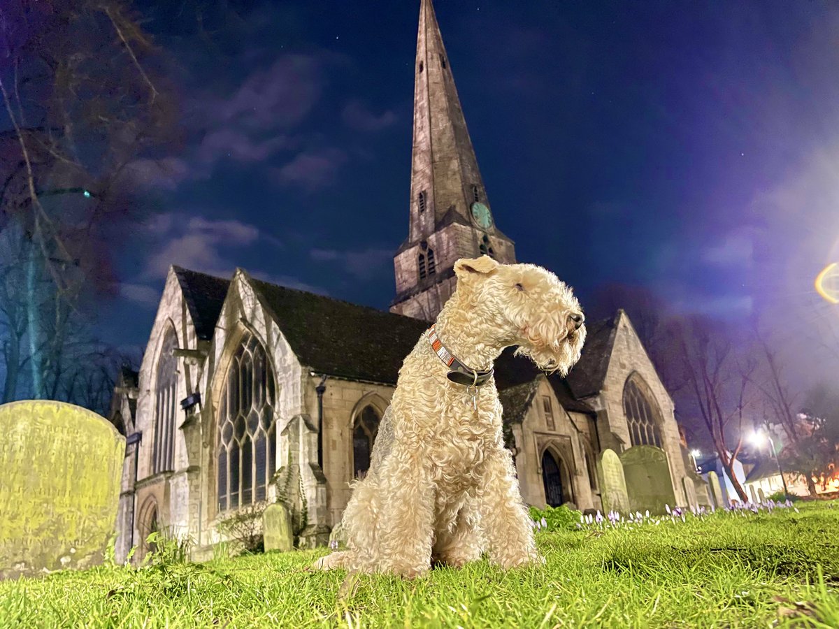bertie_lakeland's tweet photo. Oooooo ……. Spooky 💜 https://t.co/sKJDdHImN0