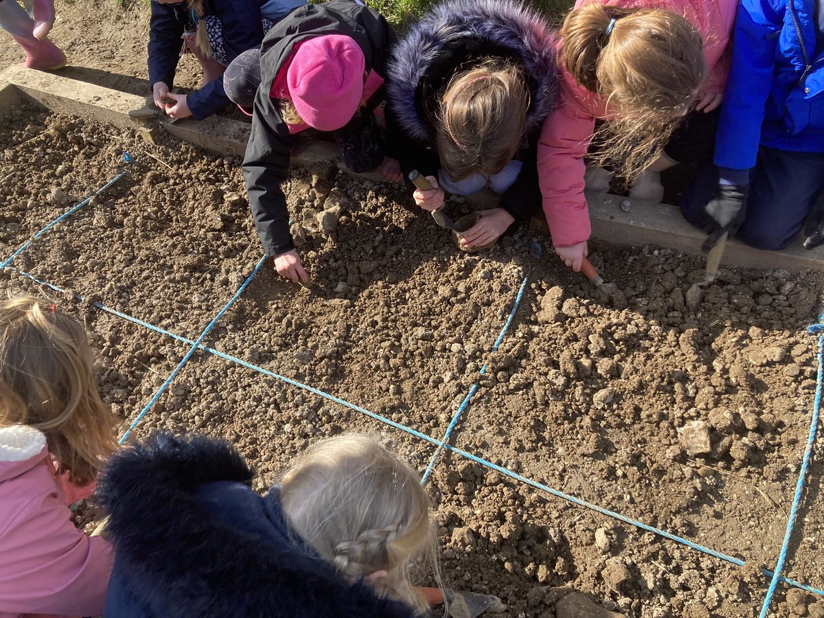 CKingsleys's tweet photo. An archaeological dig! Lots of great finds @butserfarm https://t.co/EjTcOkM5ZP