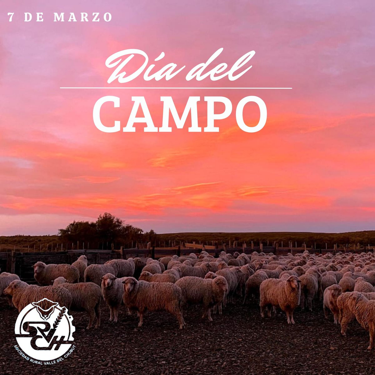 srvch's tweet photo. 🌾 Campo es sinónimo de trabajo, alimento, paz, esfuerzo, compromiso, sinónimo de valores y de costumbres, de ganas de progresar, de construir.
🐑 7 de marzo - Día del #campo , día de ese lugar que silenciosamente, nos da todo. https://t.co/leiovfHGtS