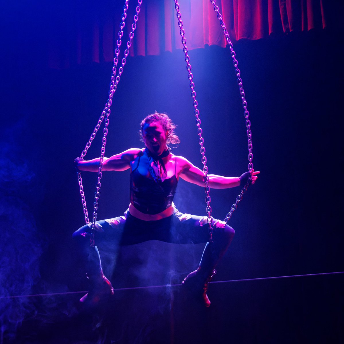 Vespertine Circus tweet media