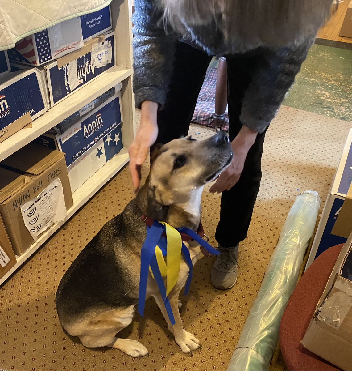 wbzSausville's tweet photo. Third generation seamstress Dianne Veiga sews a large #Ukrainian flag at Brewer Banner Designs in @NewBedford_MA. The proceeds from the sale of Ukrainian flags is being donated to @MSF_USA. #SupportUkraine @wbznewsradio https://t.co/IpPBN6aJqx