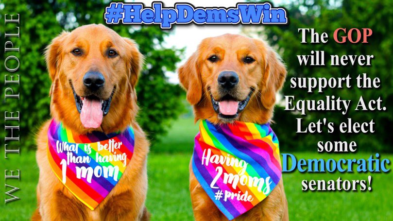 The #EqualityAct will extend civil rights protections to the LGBTQ+ community & was passed by the Democratic House last year It can become law next year if we keep the House & win a filibuster-proof Senate majority So volunteer for campaigns & #HelpDemsWin #wtpBLUE wtp1263