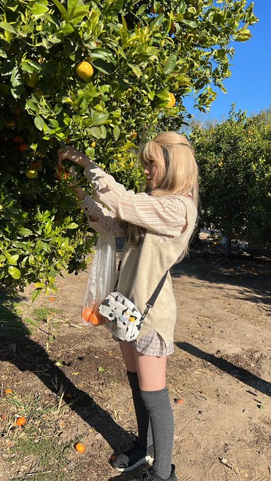 1 pic. I went tangerine picking! ? https://t.co/mhiLHtcp0H