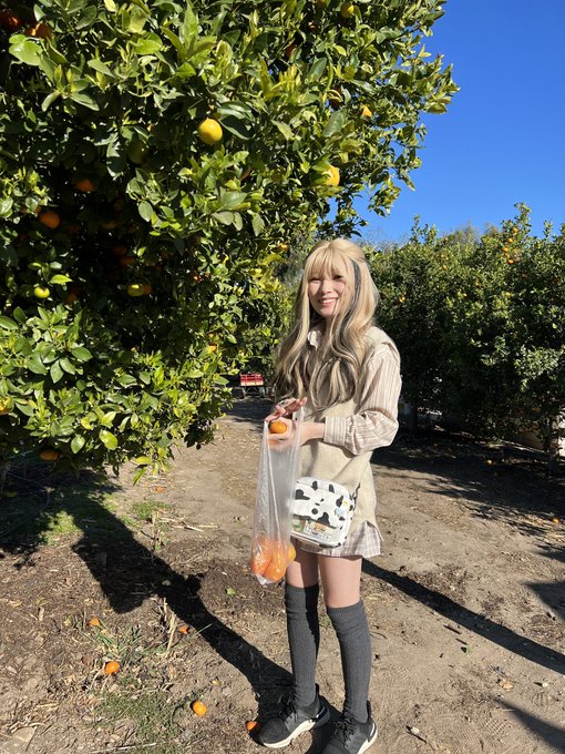 2 pic. I went tangerine picking! ? https://t.co/mhiLHtcp0H