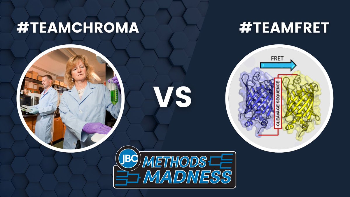 jbiolchem's tweet photo. Tomorrow's matchups and times (ET) for #JBCMethodsMadness!

#ScientificSixteen

9 a.m. – #TeamChroma vs. #TeamFRET

2 p.m. – #TeamFlow vs. #TeamPCR https://t.co/eKUpcLGr0k