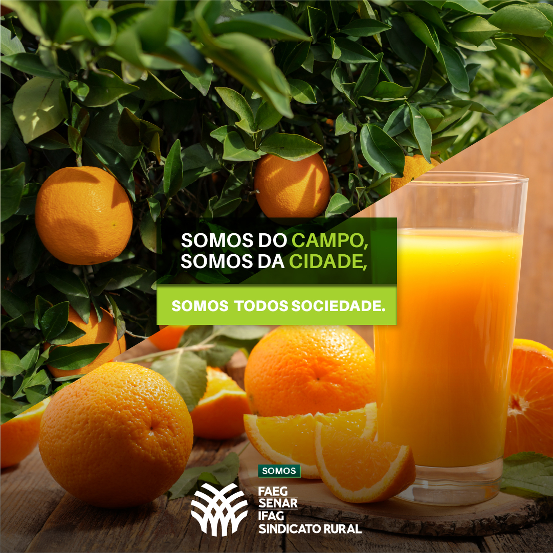 SistemaFaeg's tweet photo. 🌽🍛 A inovação que vem do campo reflete diariamente na vida de uma nação. De todas as cores, formatos e sabores, é do campo que vem a #segurança alimentar, prosperidade e inovação #sustentável.
#SistemaFaeg #SenarGoias #campo #cidade https://t.co/Z9ngQxhlN6