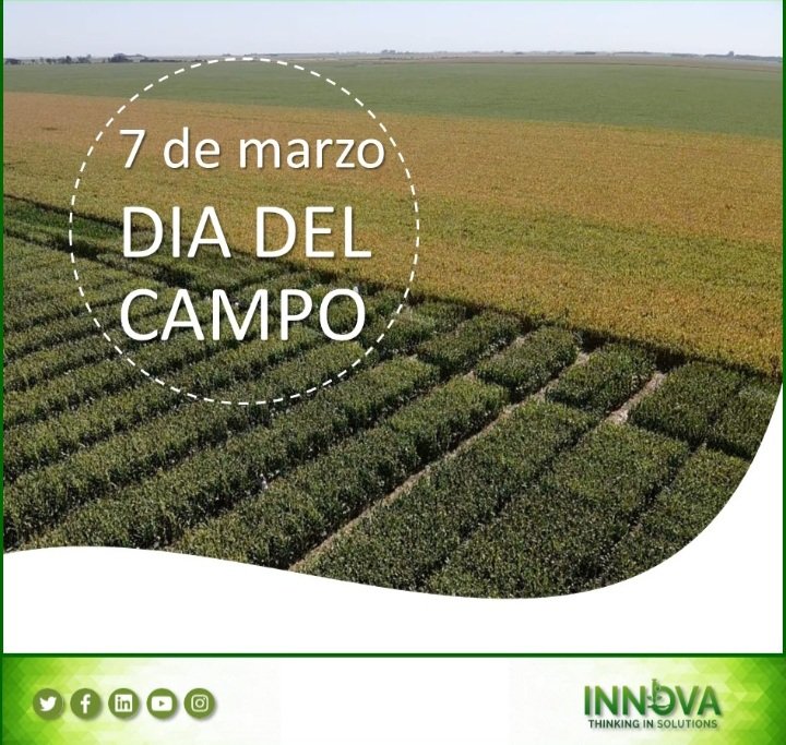 IAgroservicios's tweet photo. Feliz día a quienes trabajan diariamente para transformar la tierra en campo 🚜
#7demarzo #diadelcampo #somosinnova #thinkinginsolutions https://t.co/CXQbA8PeuE