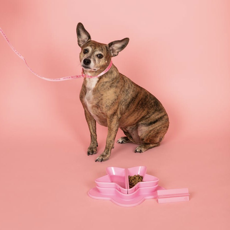JeffreeStarPets tweet media