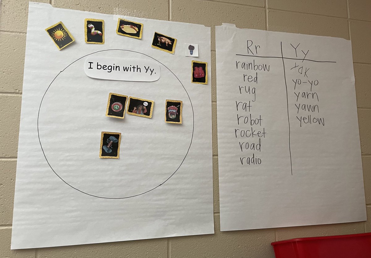 Molly Ward tweet media