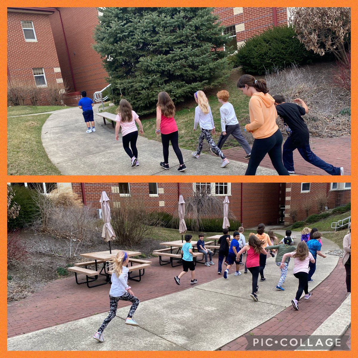 What time is it, Mr. Fox? Outdoor time on this beautiful “winter” day! #jaguarmax