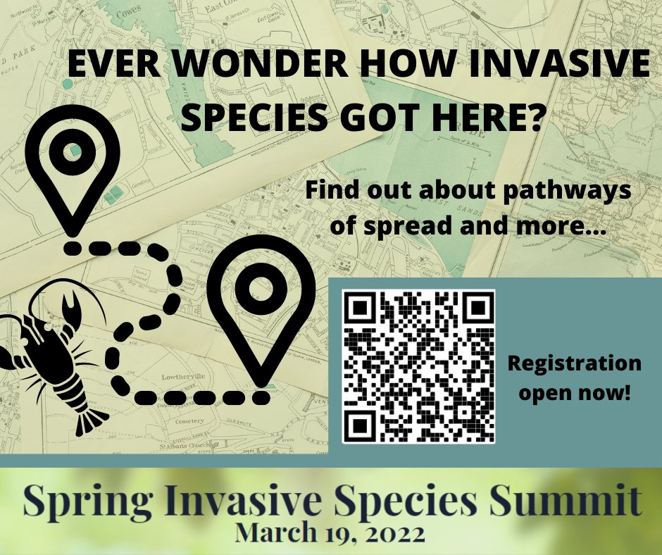 Saginaw Bay CISMA tweet media