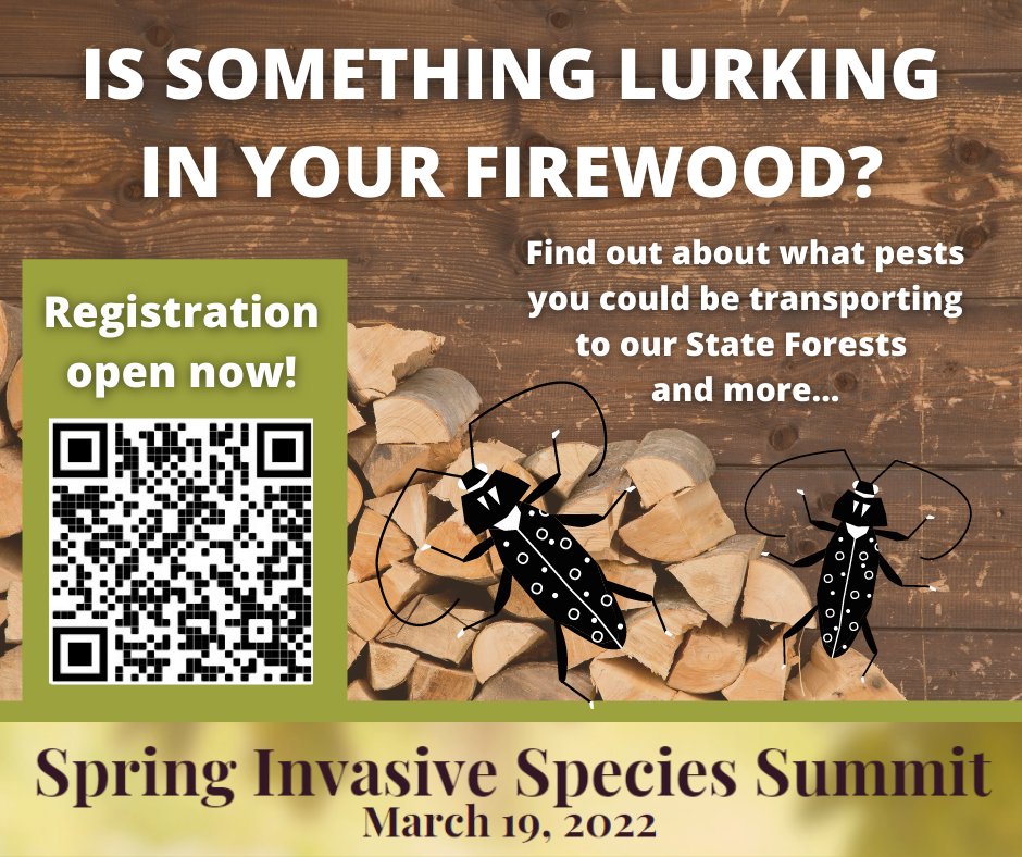 Saginaw Bay CISMA tweet media