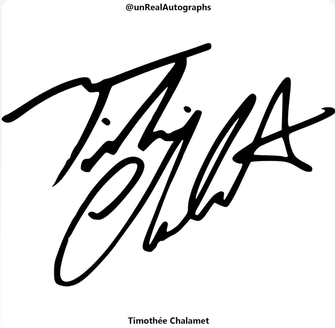 unrealstuff_off's tweet photo. @RealChalamet You simping?? We got you! Get timmy’s autograph as an NFT and keep it forever. https://t.co/BwboG63sXt