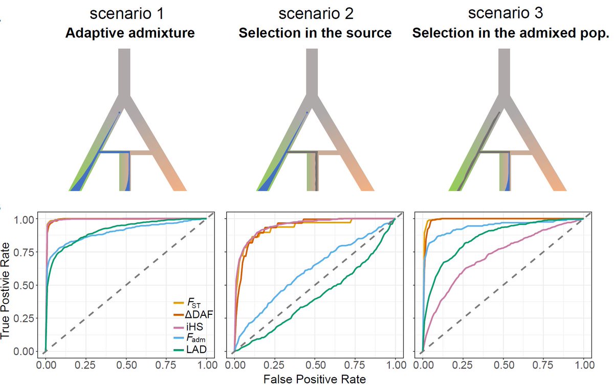AlonKeinan's tweet photo. The genomic signatures of natural selection in admixed human populations.

@5ebra2850, Laval, @QuintanaMurci, &amp; @Etienne_Patin  evaluate selection stats &amp; study 15 admixed populations

#populationgenetics #popgen #adaptaion #adaptiveadmixture

@AJHGNews 
https://t.co/p0IBiFSkXZ https://t.co/NCh0D3skbp