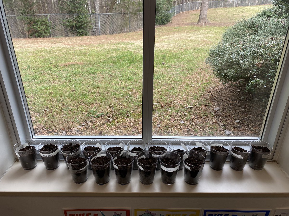 What a fun Monday over here in 2nd grade! We planted seeds and did an experiment to learn more about how rain works!