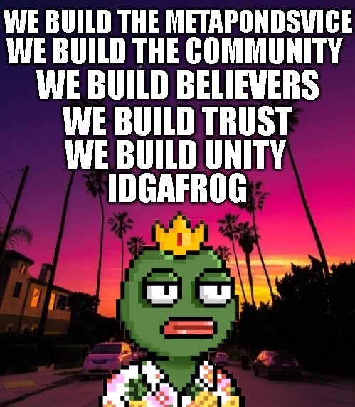 E4H5AA68DD's tweet photo. IDGAFrog on Polygon Network! Get your frogs here: https://t.co/iUohfrQIm6 and get a chance to win 2 NFTs this week! 

#idgafrog #nft #polygon #matic https://t.co/hJQiRZxjEM