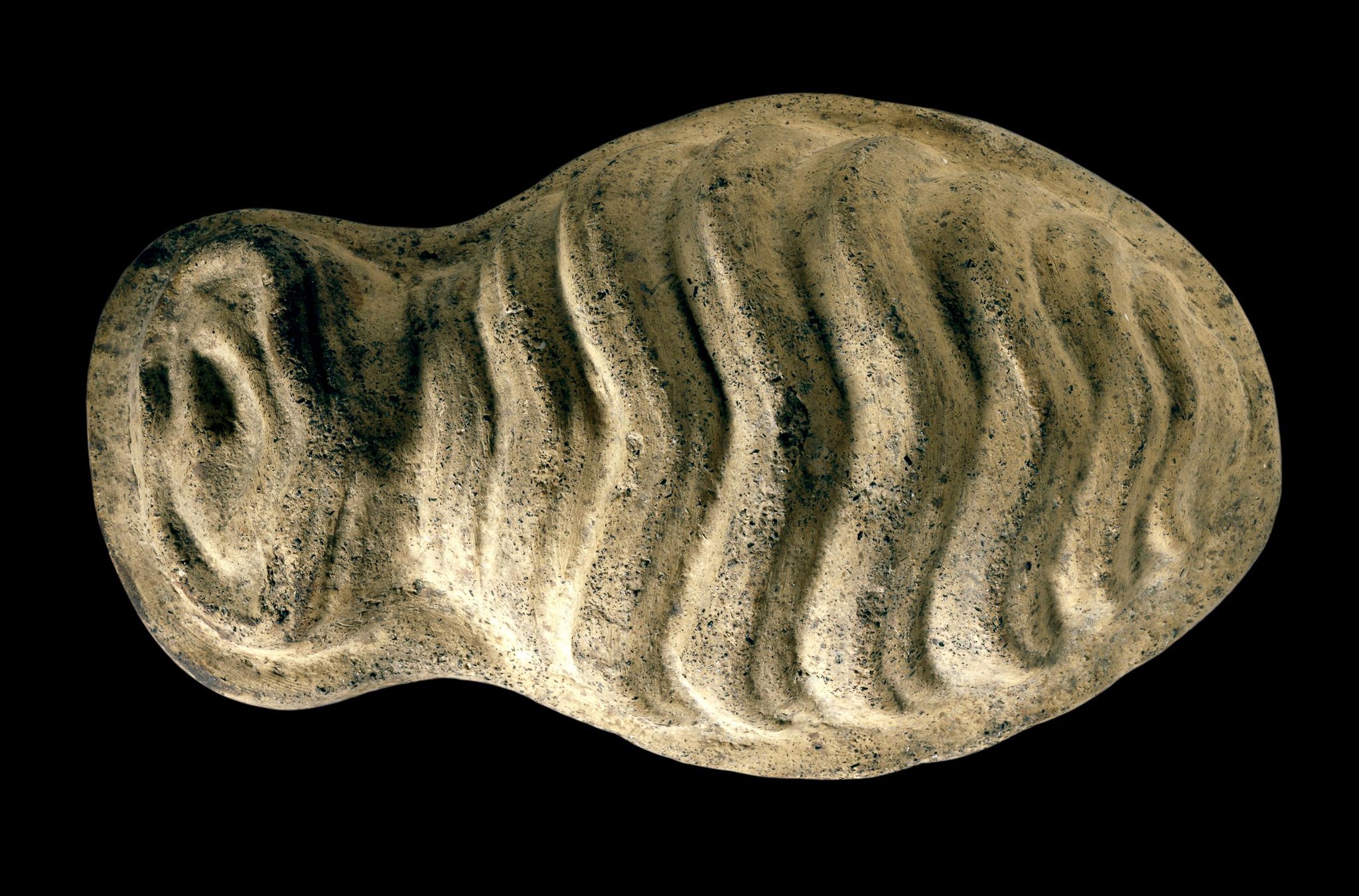 Gareth Harney on Twitter "Roman terracotta votives in the stylised