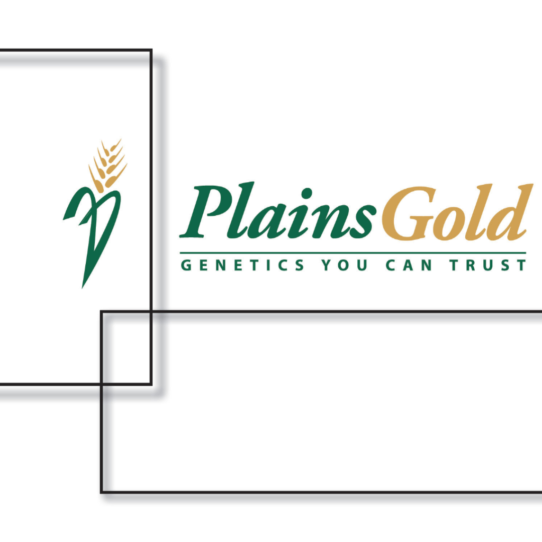 PlainsGold Varieties Take Top Spots in 2022 Winter Wheat Variety Survey - Read the full press release here: bit.ly/3HQeoUu