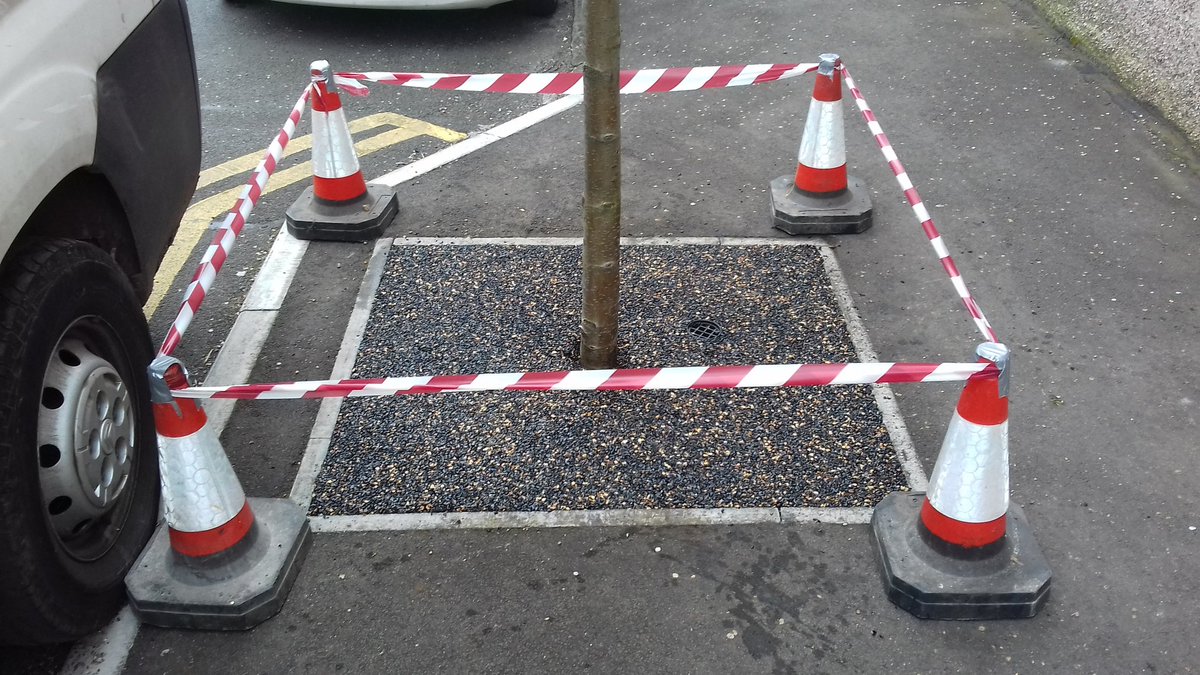thanecsltd's tweet photo. Starting the week off surfacing some tree bases using flexipave in Cardiff with Horan Construction. @KBIUKLTD #streetrees #poroussurface #suds https://t.co/UBYGviARkV